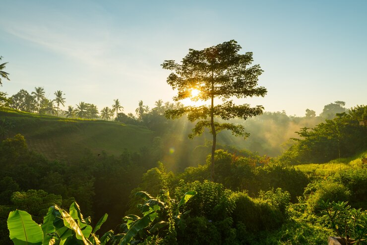 Expedição pelo Pantanal